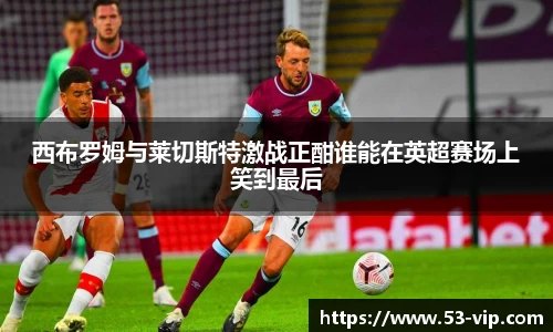 西布罗姆与莱切斯特激战正酣谁能在英超赛场上笑到最后